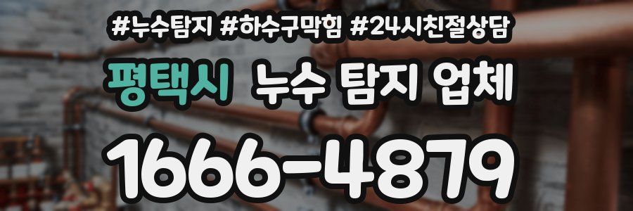 평택시 누수 탐지 업체