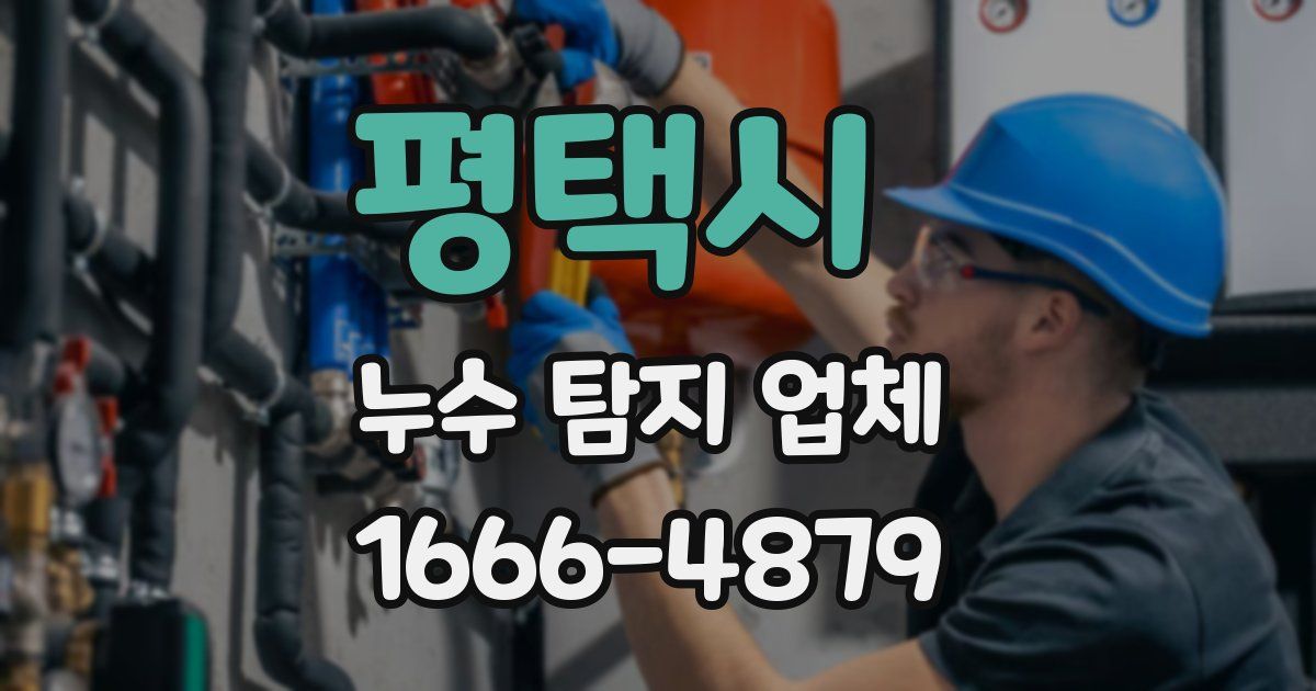평택시 누수 탐지 업체