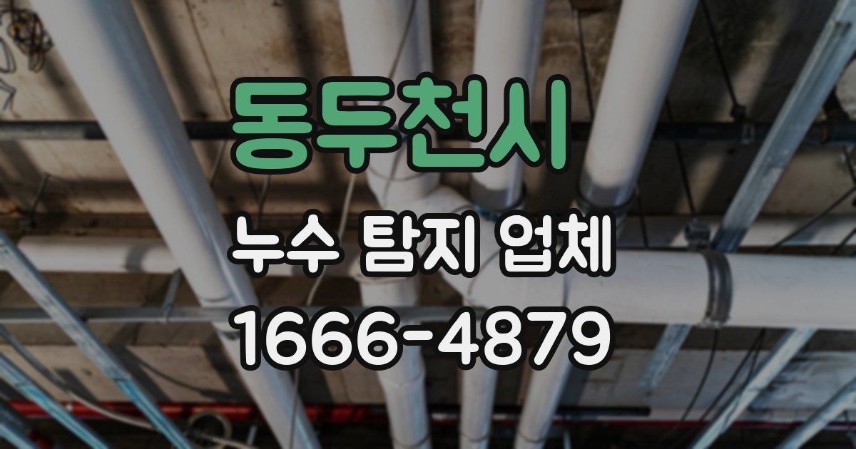 동두천시 누수 탐지 업체