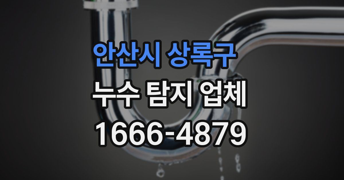 안산시 상록구 누수 탐지 업체