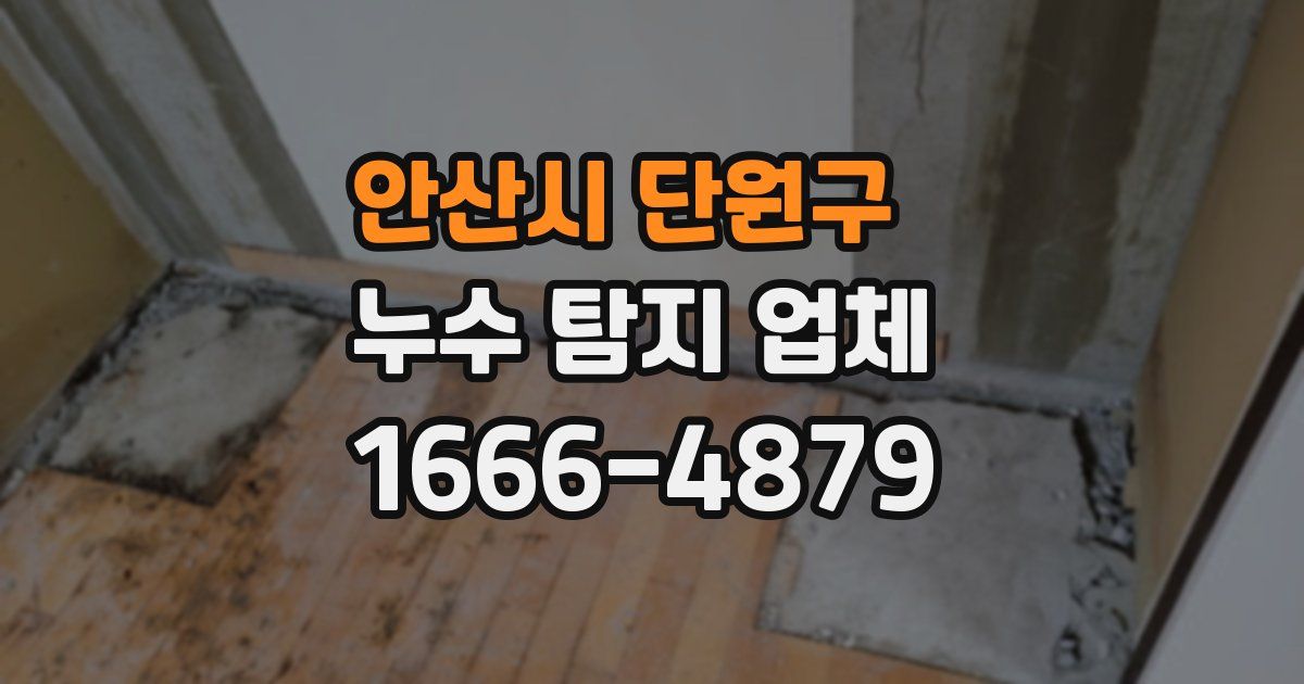 안산시 단원구 누수 탐지 업체
