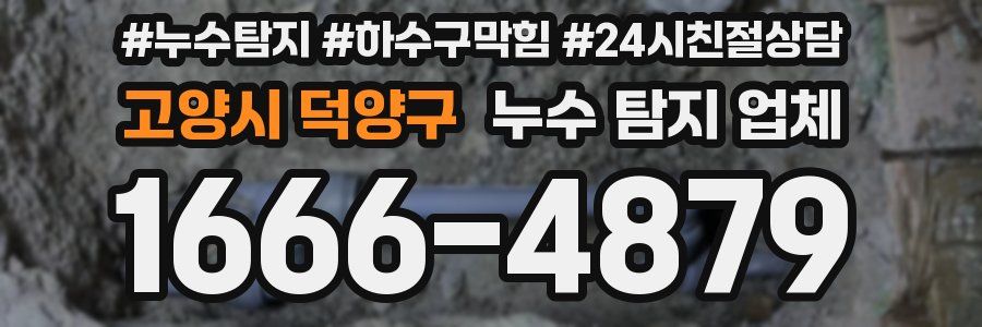 고양시 덕양구 누수 탐지 업체
