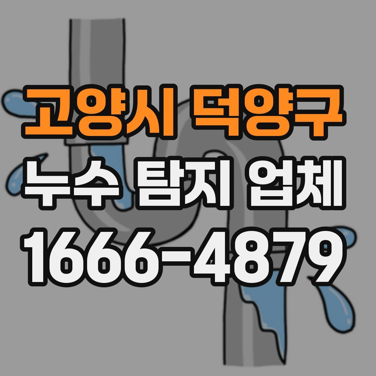 고양시 덕양구 누수 탐지 업체
