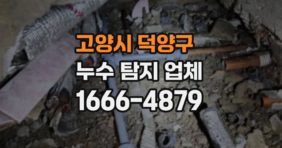 고양시 덕양구 누수 탐지 업체