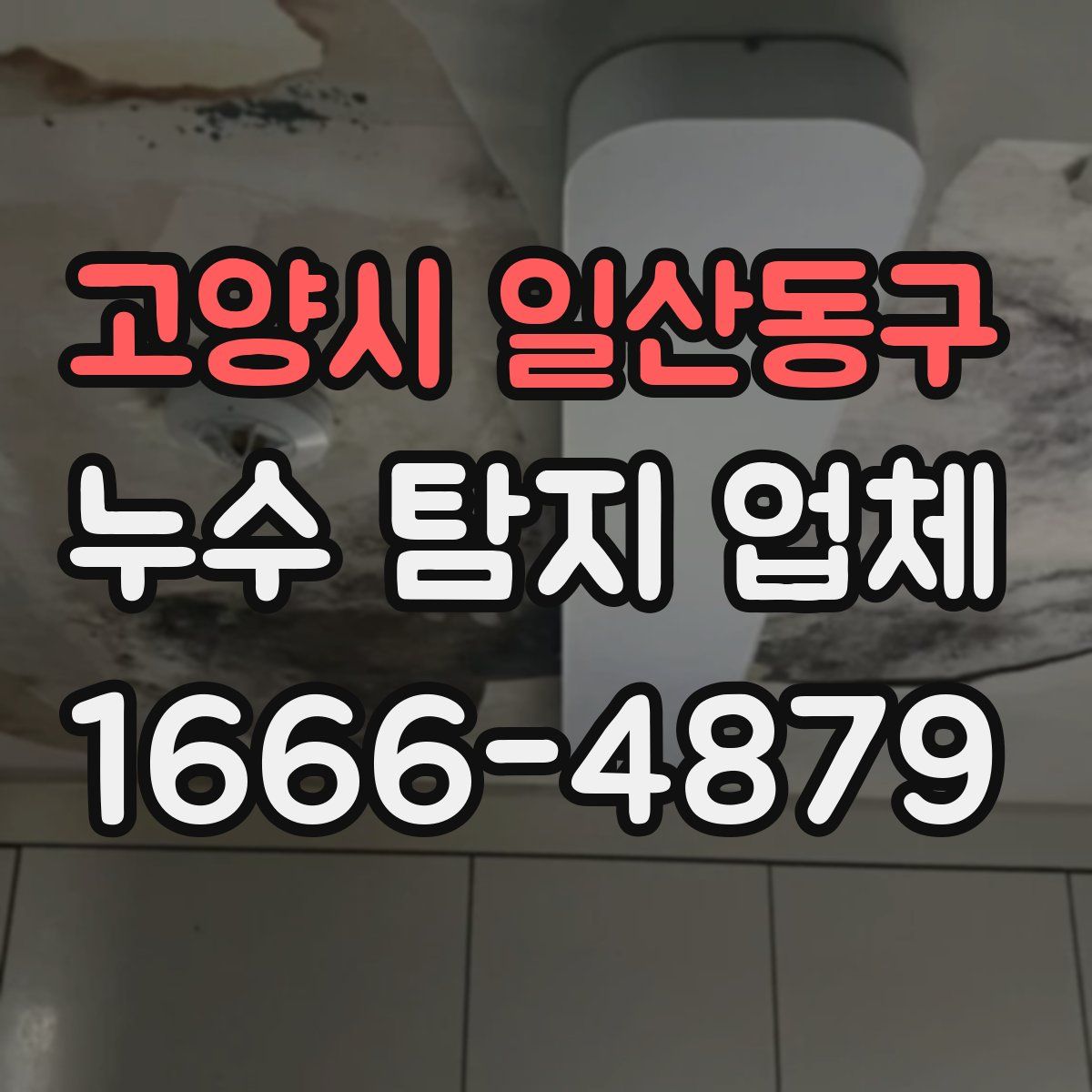 고양시 일산동구 누수 탐지 업체