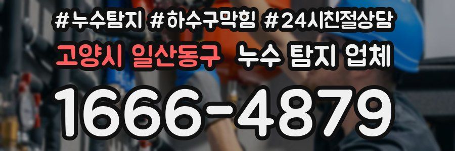 고양시 일산동구 누수 탐지 업체