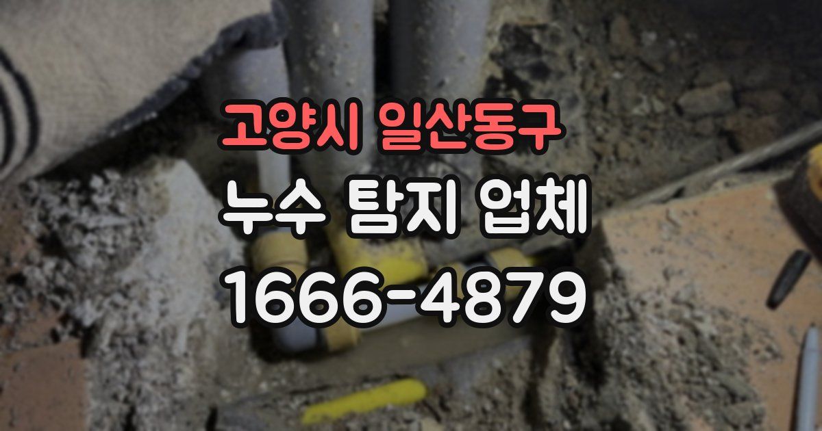 고양시 일산동구 누수 탐지 업체