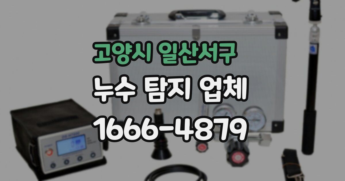 고양시 일산서구 누수 탐지 업체