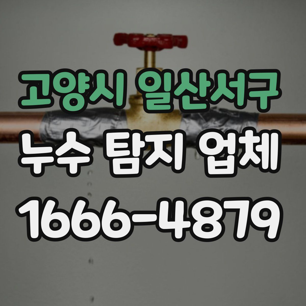 고양시 일산서구 누수 탐지 업체