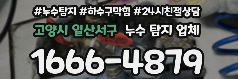 고양시 일산서구 누수 탐지 업체