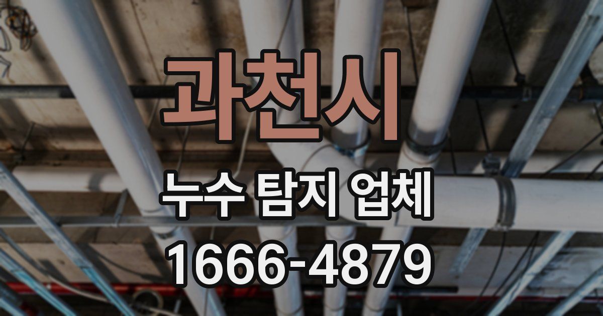 과천시 누수 탐지 업체