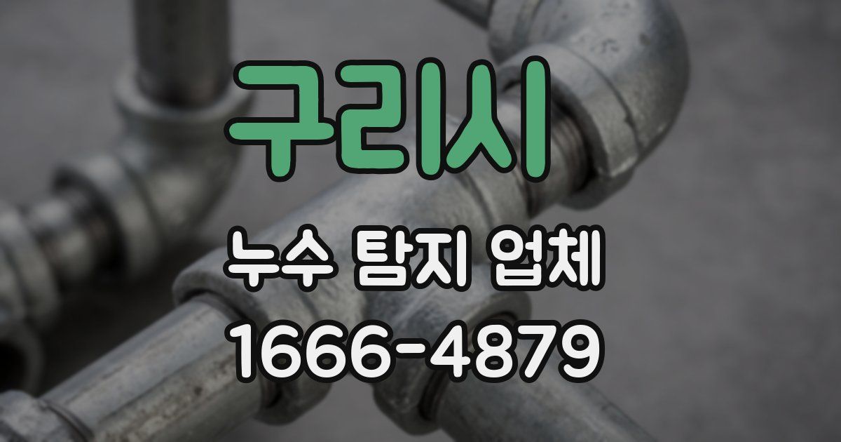 구리시 누수 탐지 업체