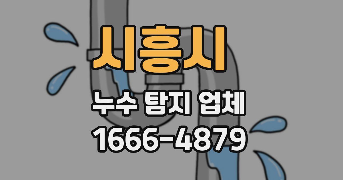 시흥시 누수 탐지 업체