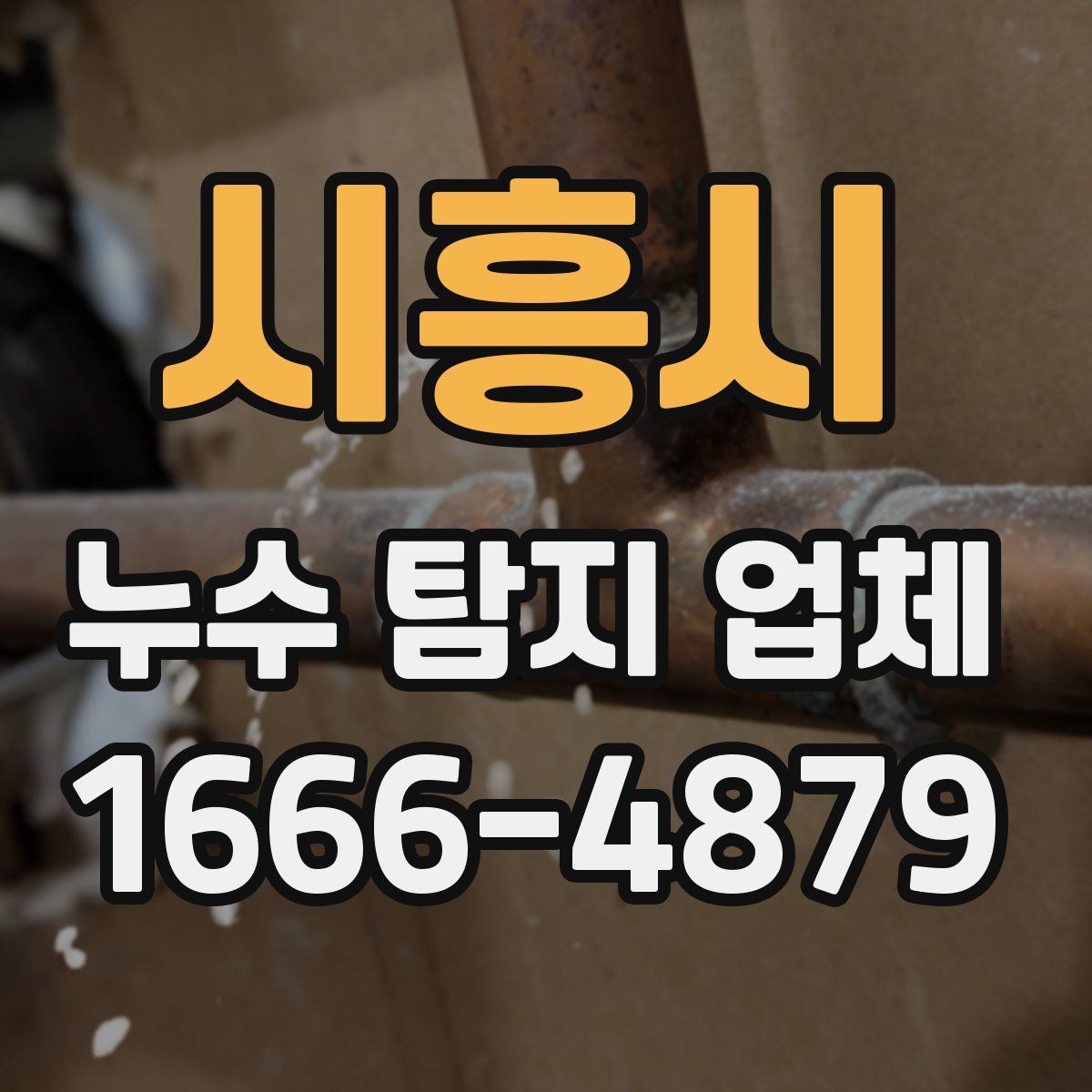 시흥시 누수 탐지 업체