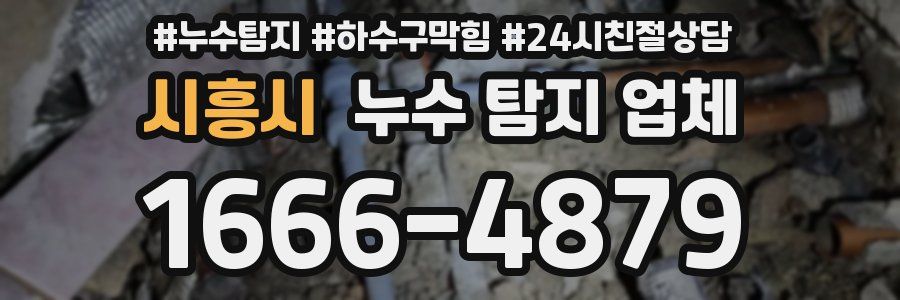 시흥시 누수 탐지 업체