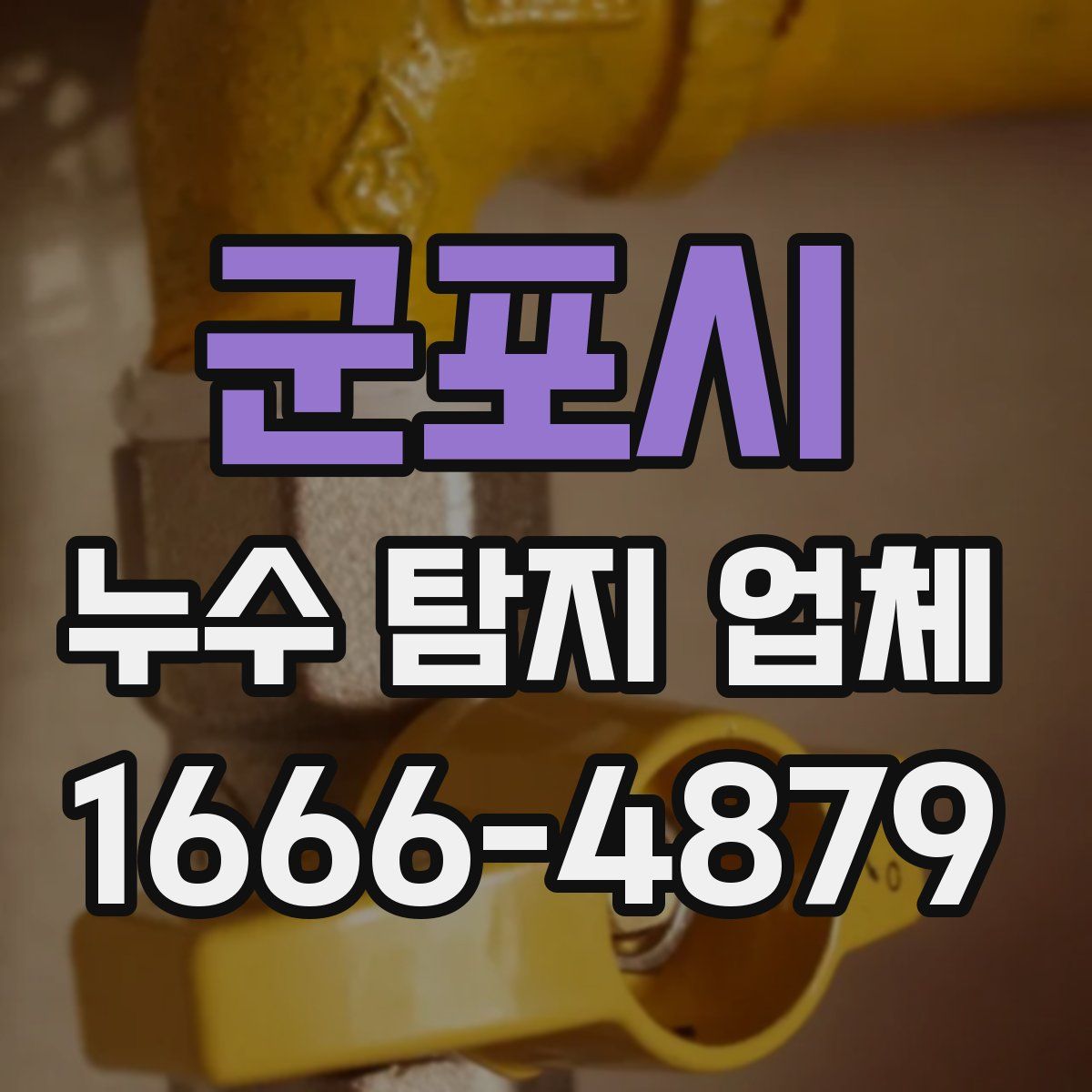 군포시 누수 탐지 업체