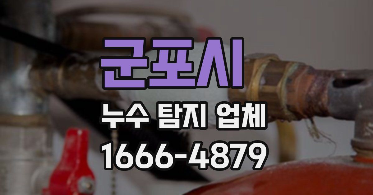 군포시 누수 탐지 업체