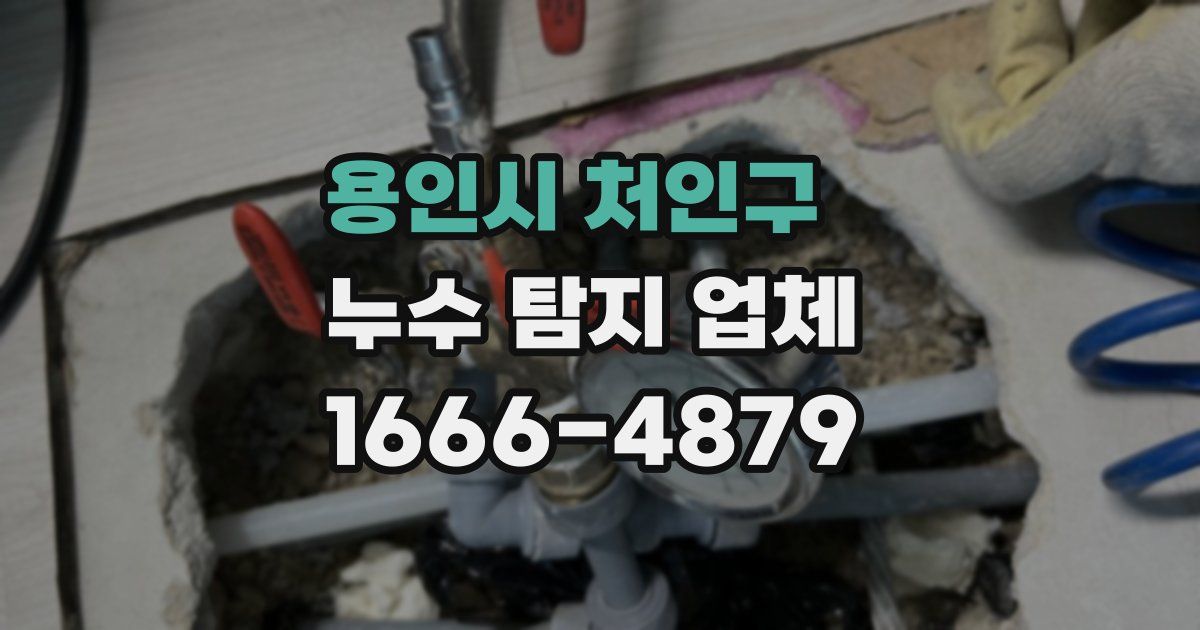 용인시 처인구 누수 탐지 업체
