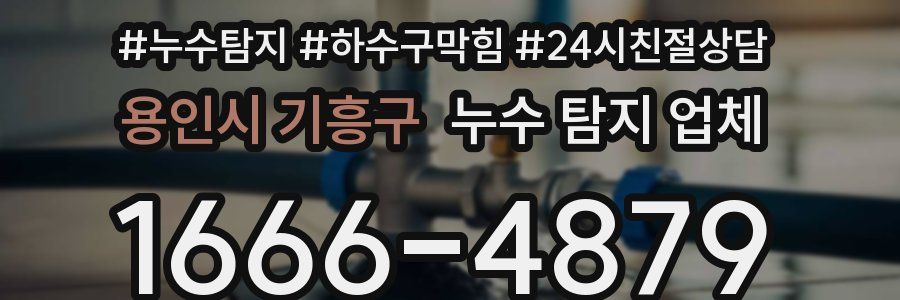 용인시 기흥구 누수 탐지 업체