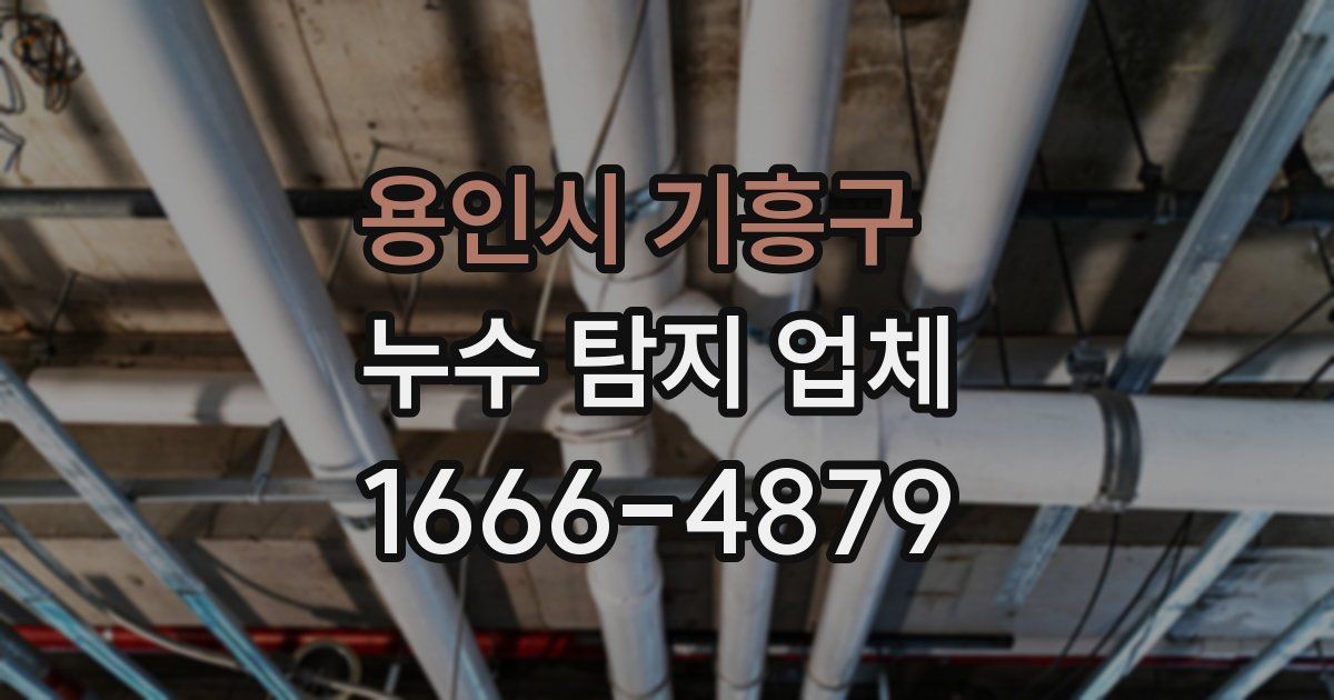 용인시 기흥구 누수 탐지 업체