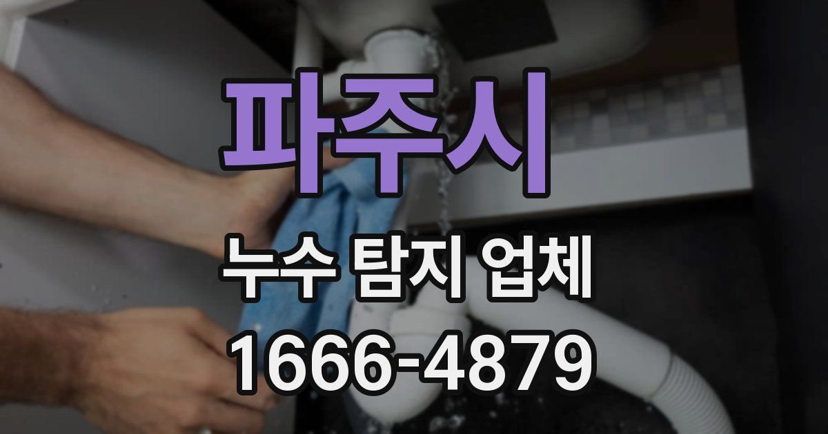 파주시 누수 탐지 업체
