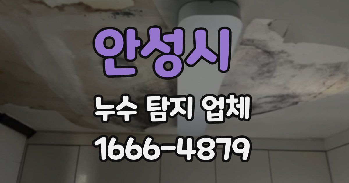 안성시 누수 탐지 업체