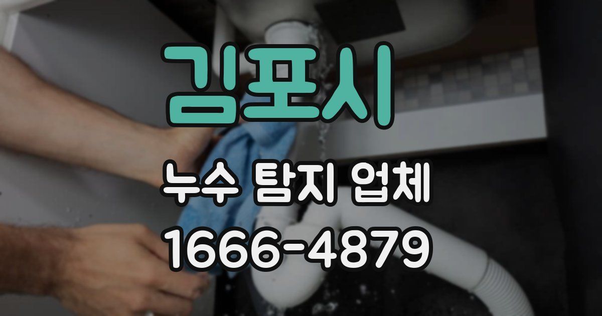 김포시 누수 탐지 업체