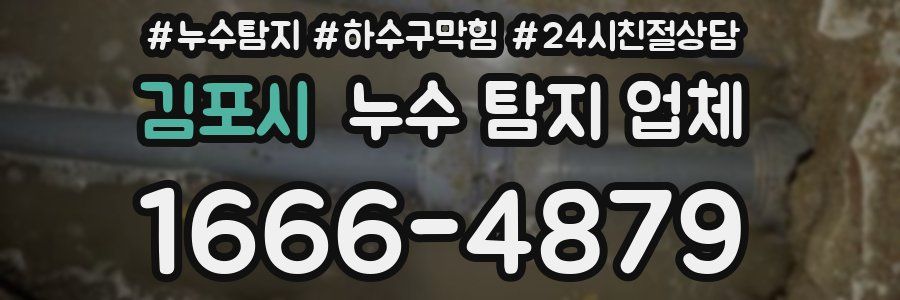 김포시 누수 탐지 업체