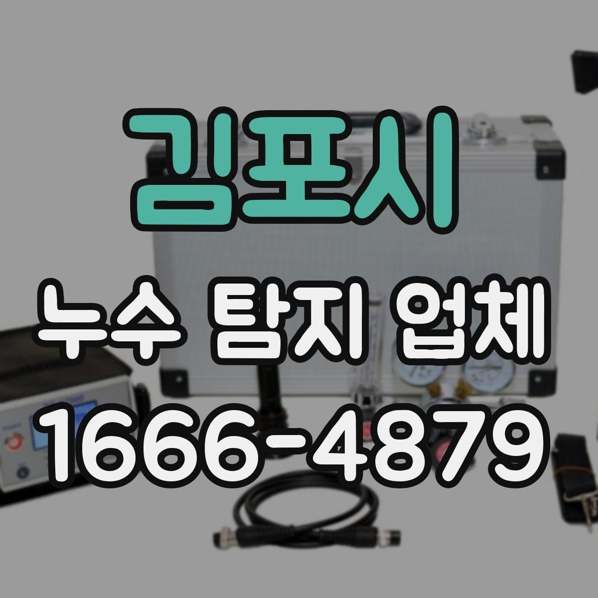 김포시 누수 탐지 업체