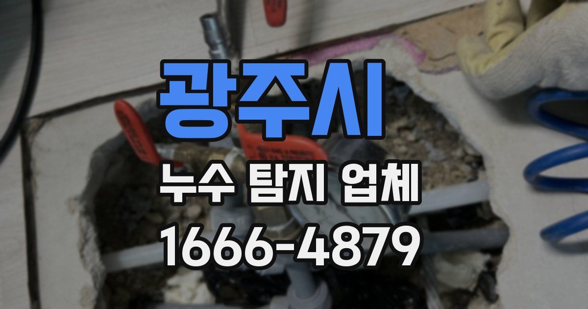 광주시 누수 탐지 업체