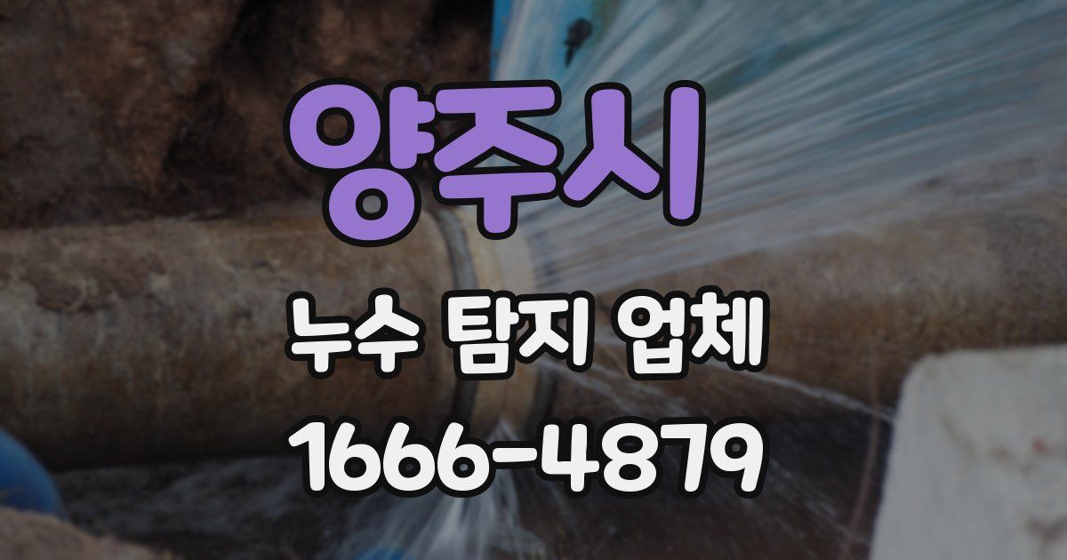 양주시 누수 탐지 업체