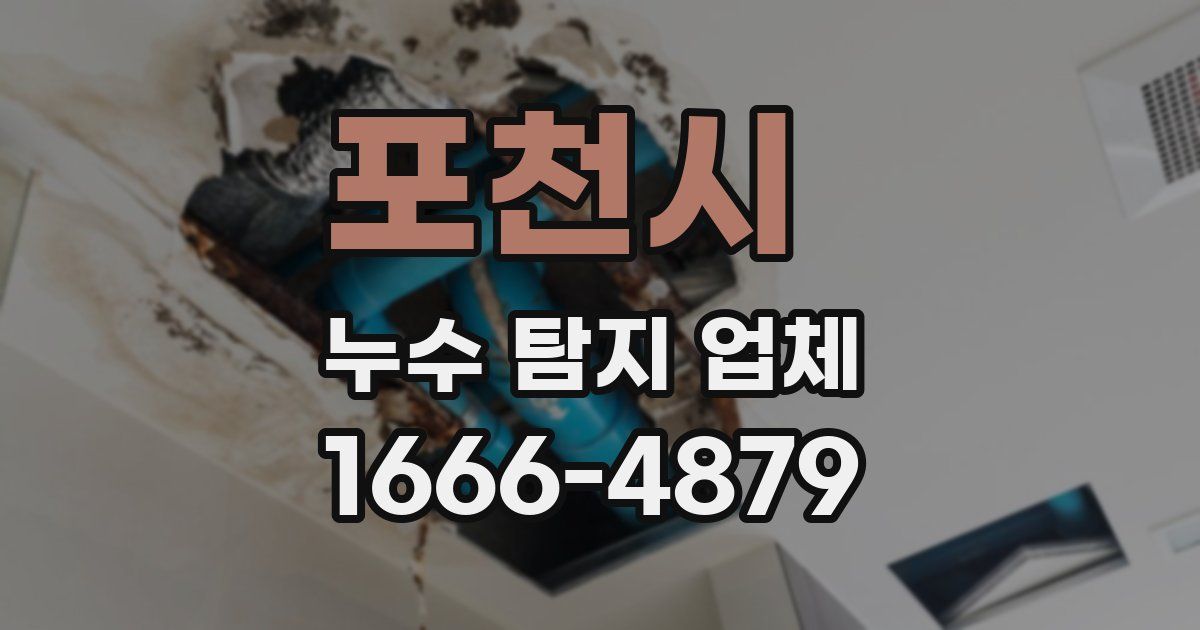 포천시 누수 탐지 업체