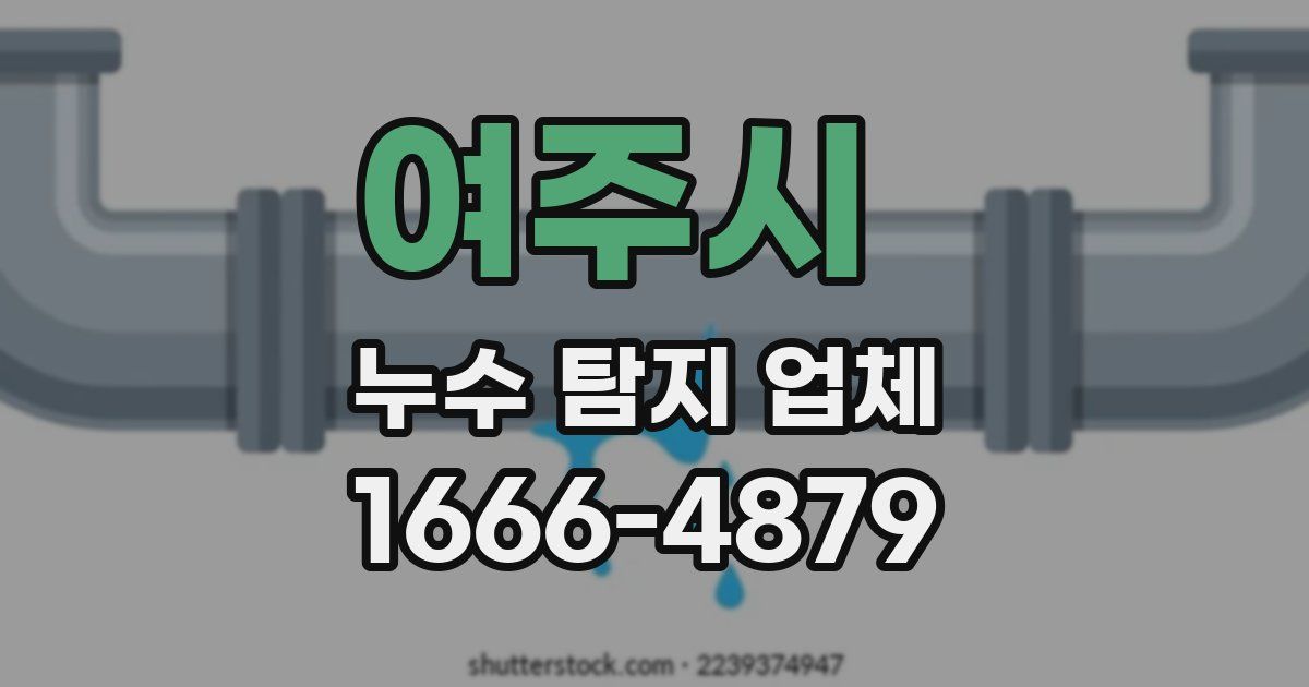 여주시 누수 탐지 업체