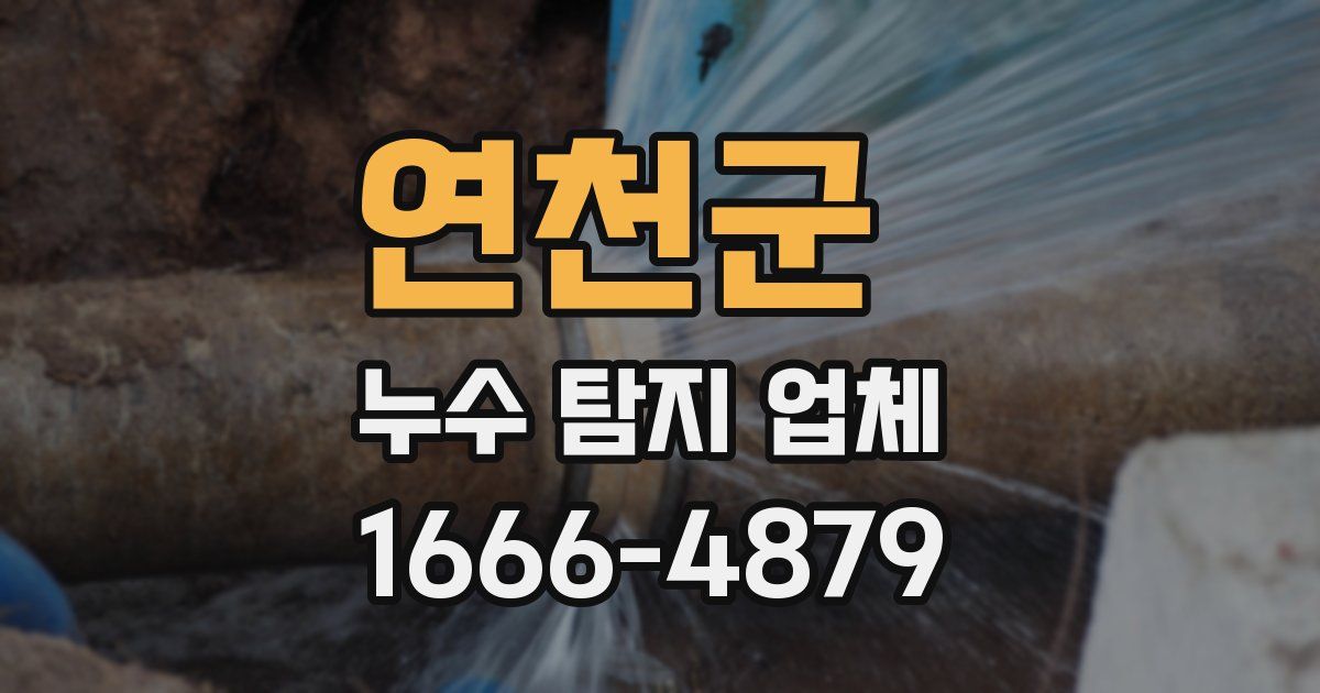 연천군 누수 탐지 업체