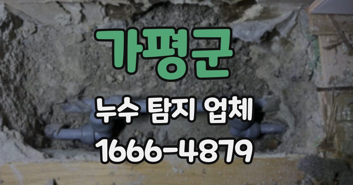가평군 누수 탐지 업체