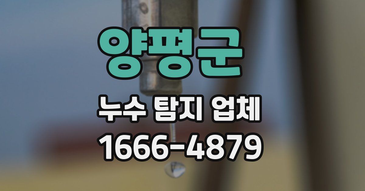 양평군 누수 탐지 업체