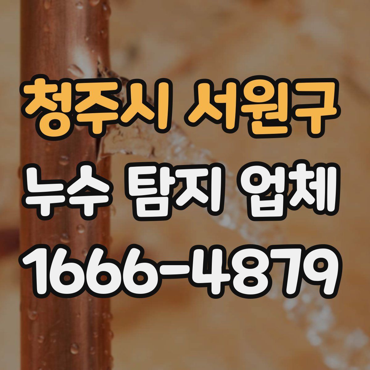 청주시 서원구 누수 탐지 업체