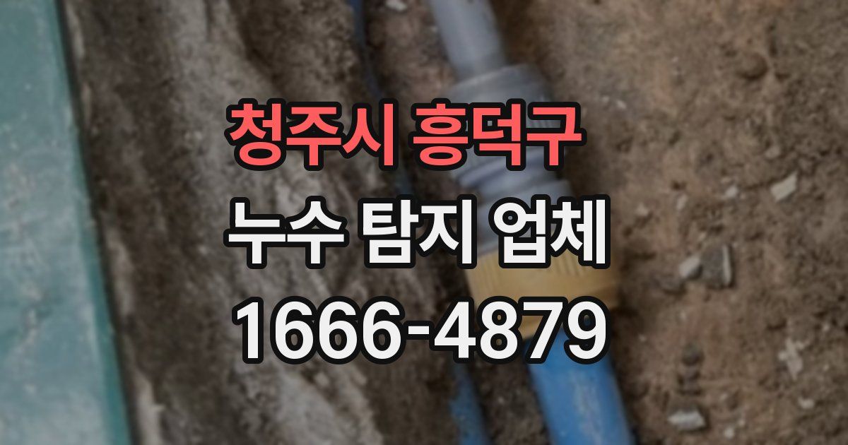청주시 흥덕구 누수 탐지 업체