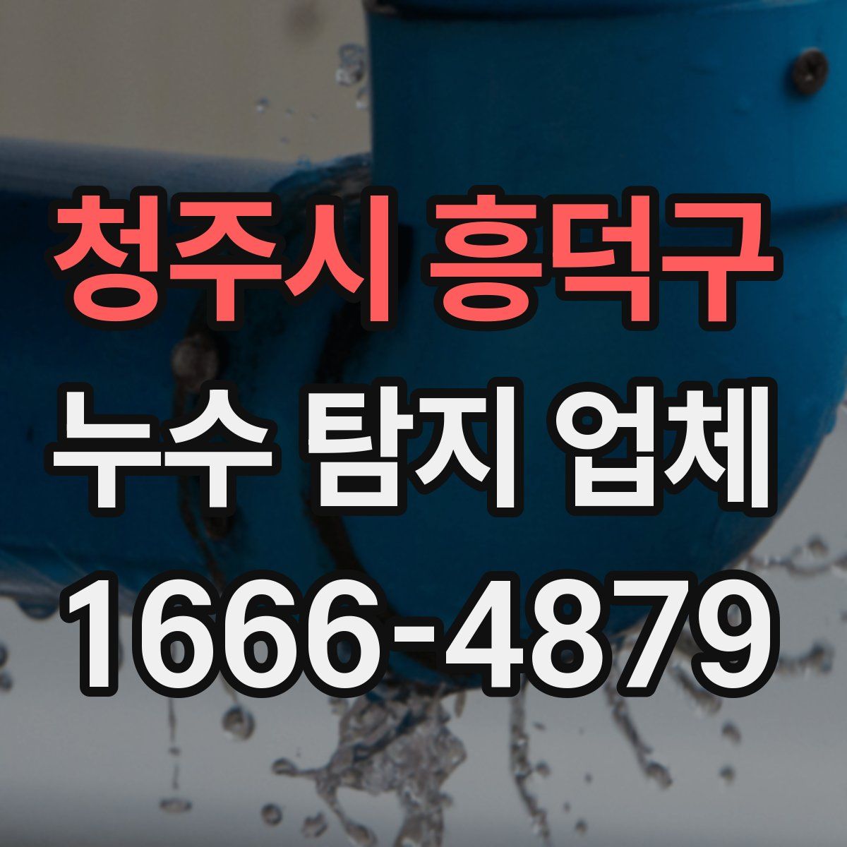 청주시 흥덕구 누수 탐지 업체