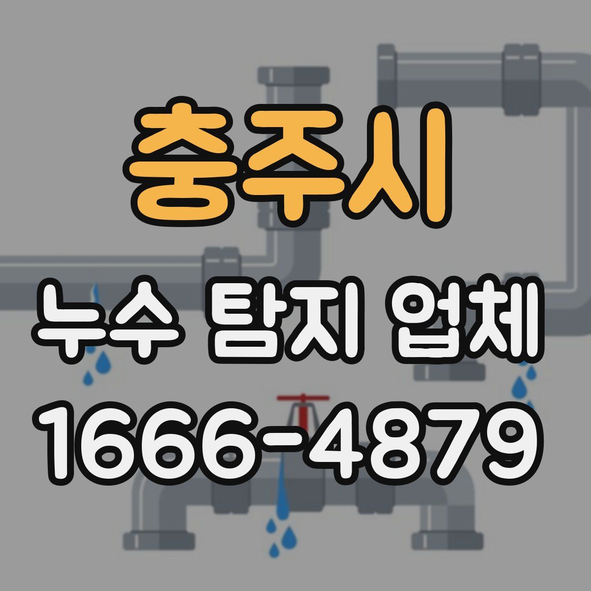 충주시 누수 탐지 업체