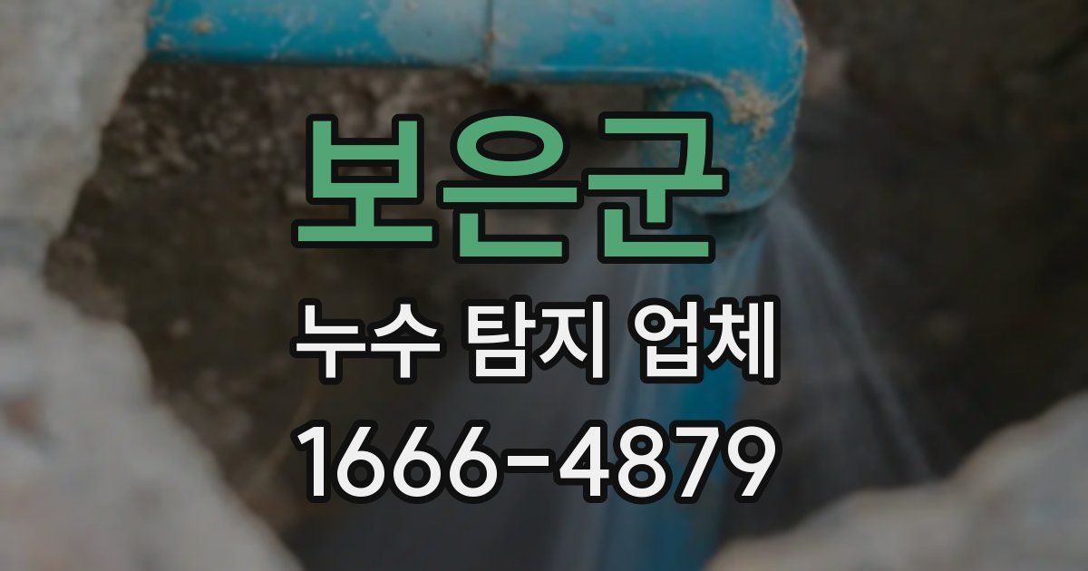 보은군 누수 탐지 업체