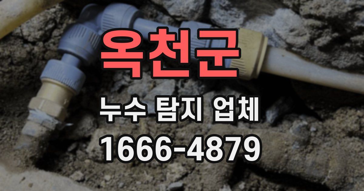 옥천군 누수 탐지 업체