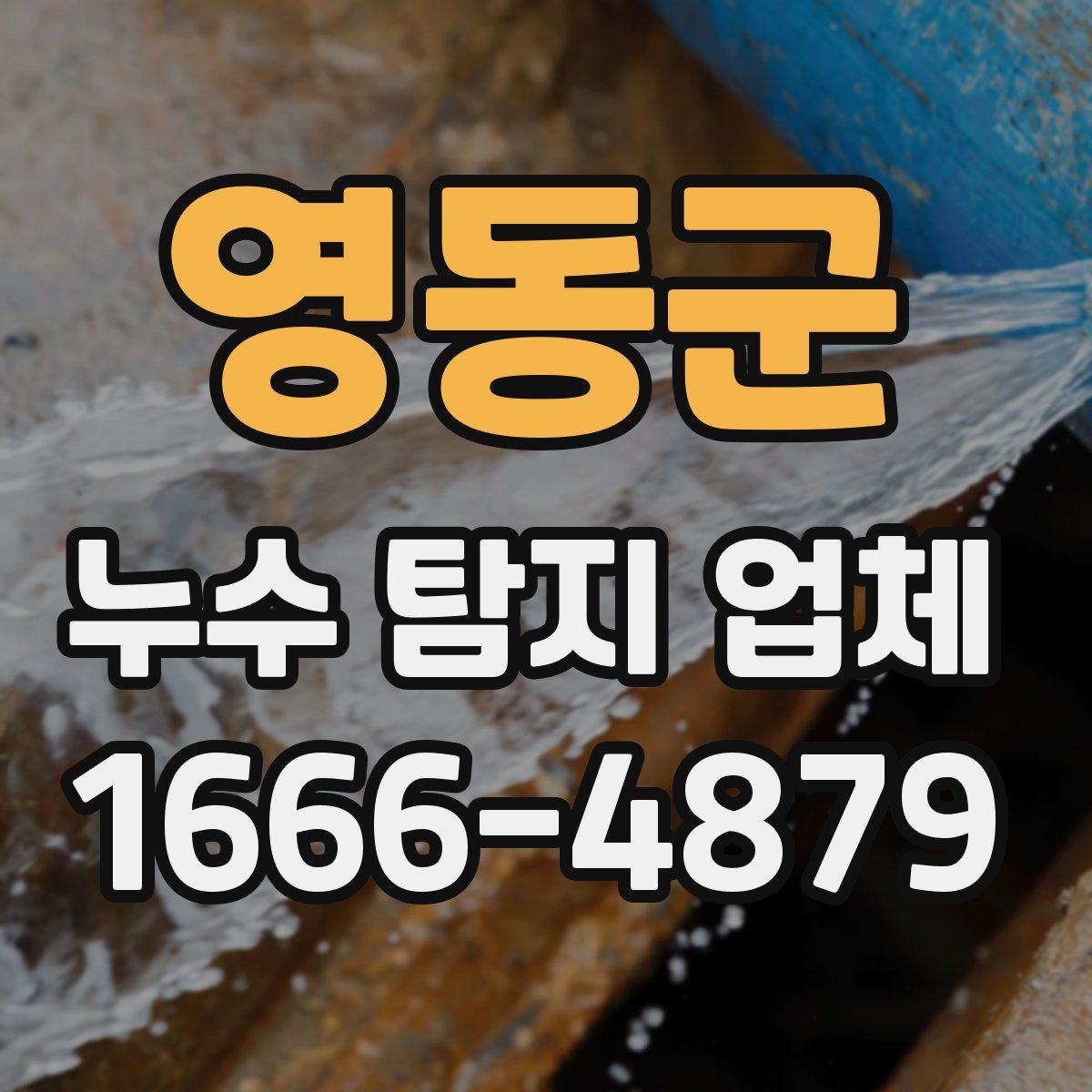 영동군 누수 탐지 업체