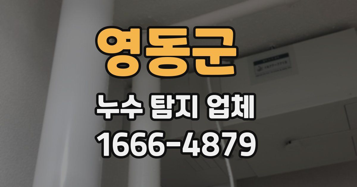 영동군 누수 탐지 업체