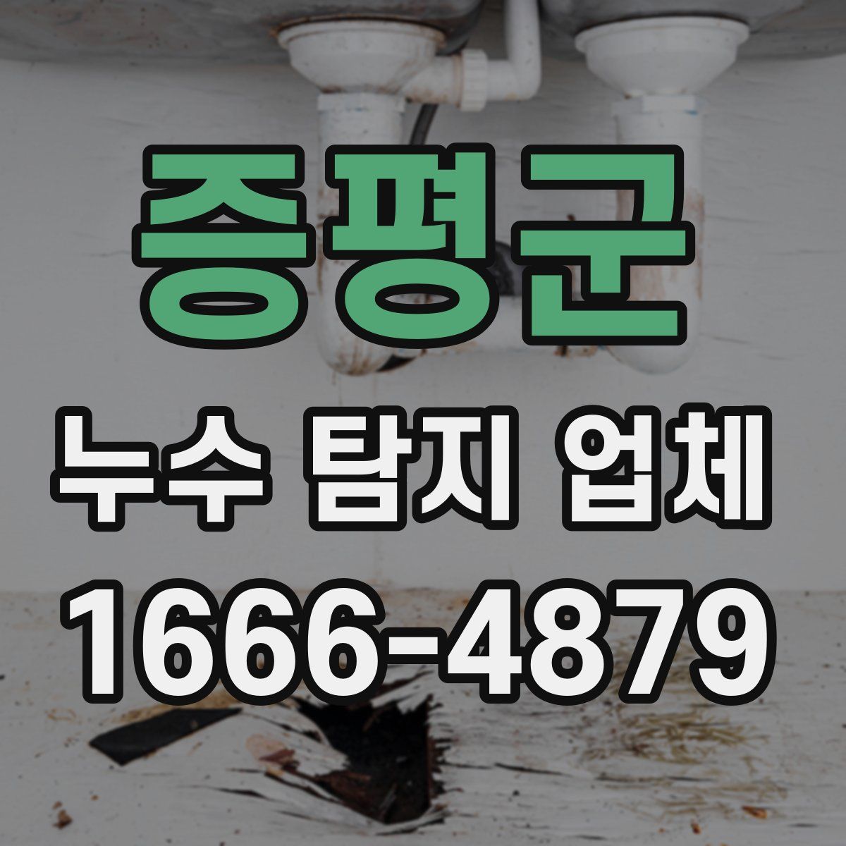 증평군 누수 탐지 업체