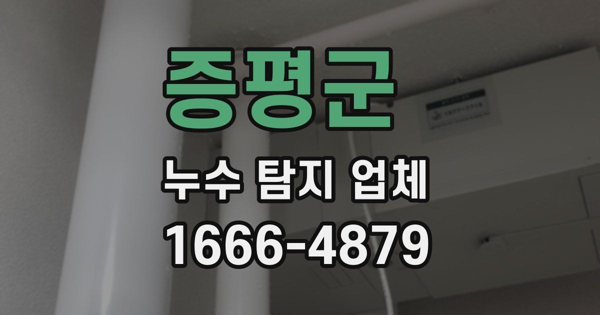 증평군 누수 탐지 업체