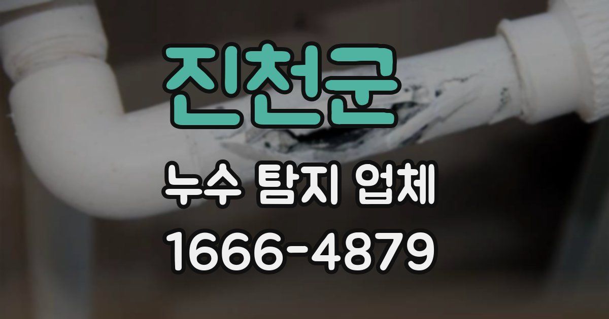 진천군 누수 탐지 업체