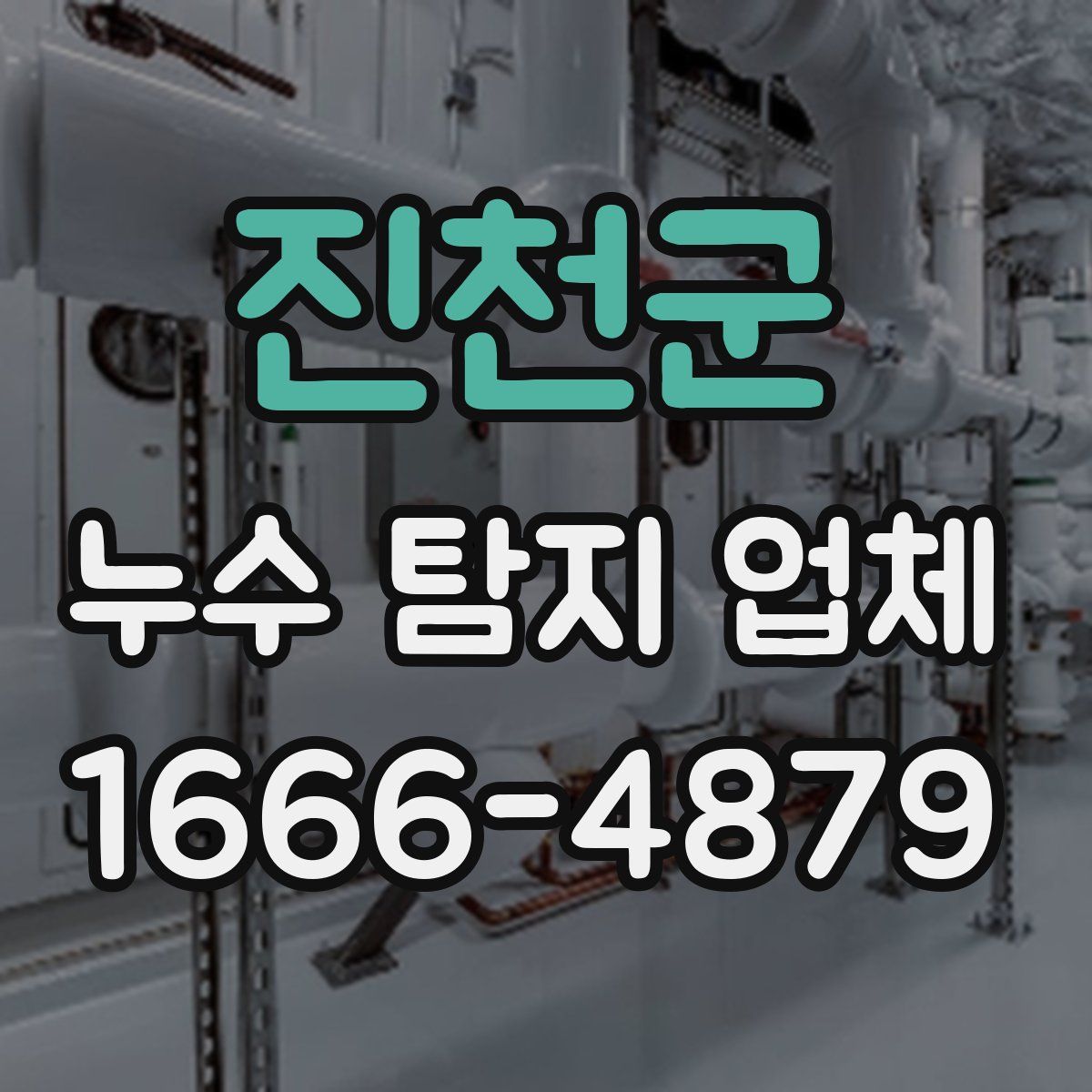 진천군 누수 탐지 업체
