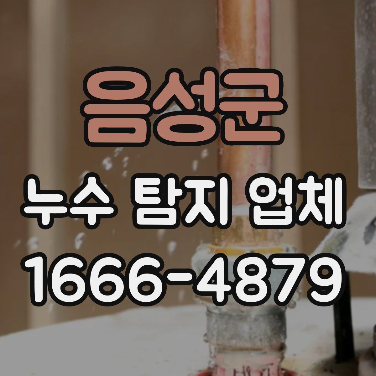 음성군 누수 탐지 업체