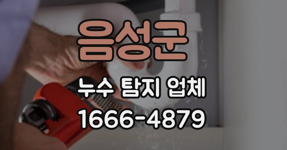 음성군 누수 탐지 업체